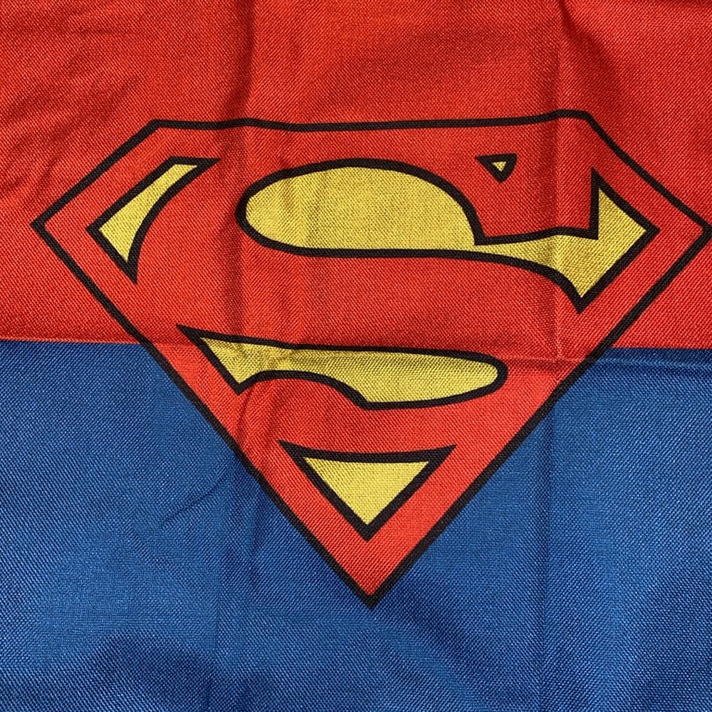 Superman Logo Pillow Cover